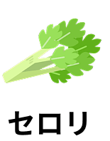 セロリ